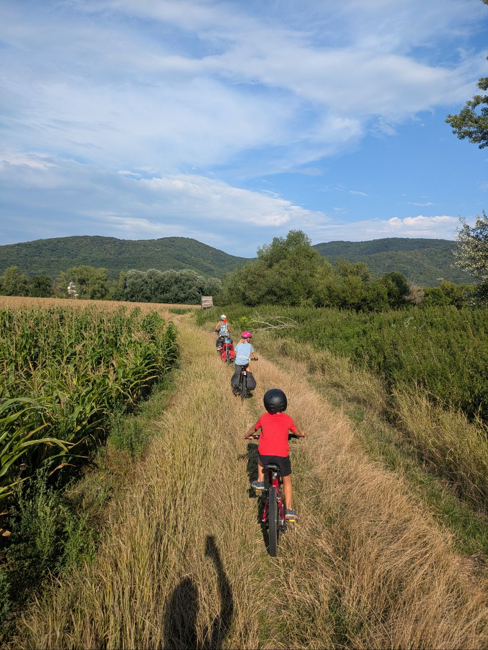 enfants de dos dans les champs